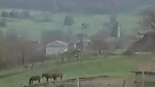 سكس محجبا تركي