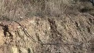 شقة في نعش حزم على مثليه الناضجة الألمانية