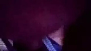 لحظة إثارة: ديوك من كل نوع في الفعل