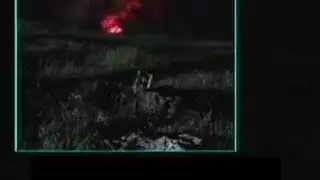 الأسترالي الجيش
